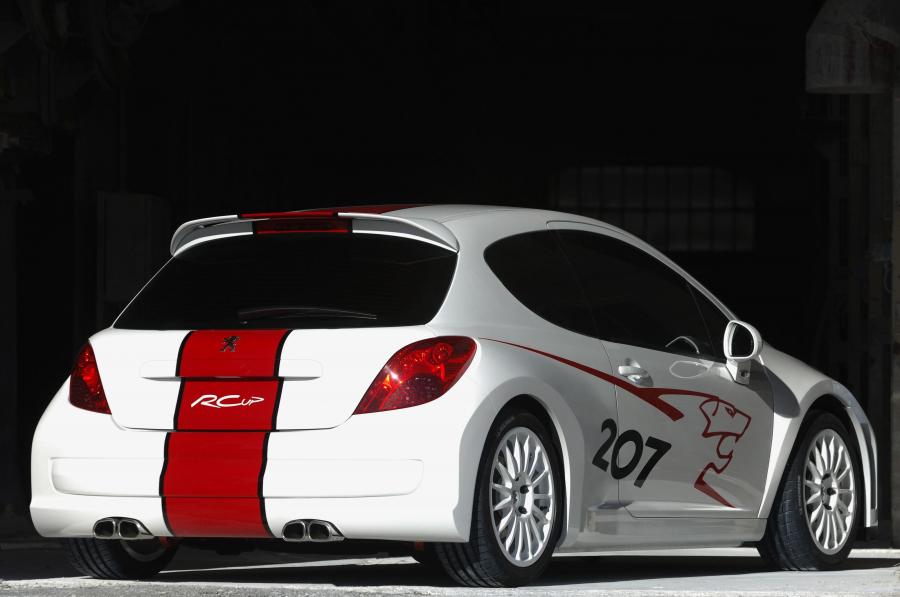  Peugeot 207 RCup 2006 года  (фото 10 из 10)